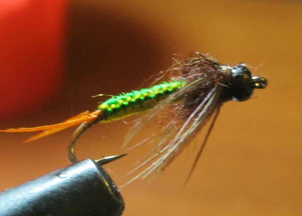 веснянка_нимфа