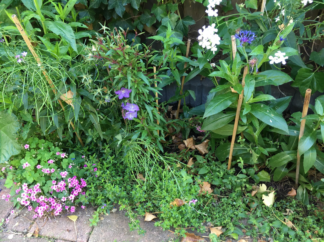 D47FD78C-5BE8-42EE-9A61-B50BCAC3214D