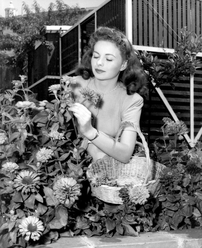 Jeanne_Crain_a85