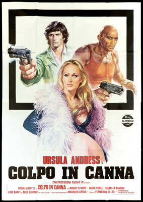 Colpo in canna (1975) .mkv DVDRip AC3 - ITA/ENG/DEU