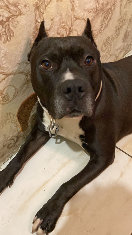 DA51117D-A183-4594-B943-03AEE35DF1D3