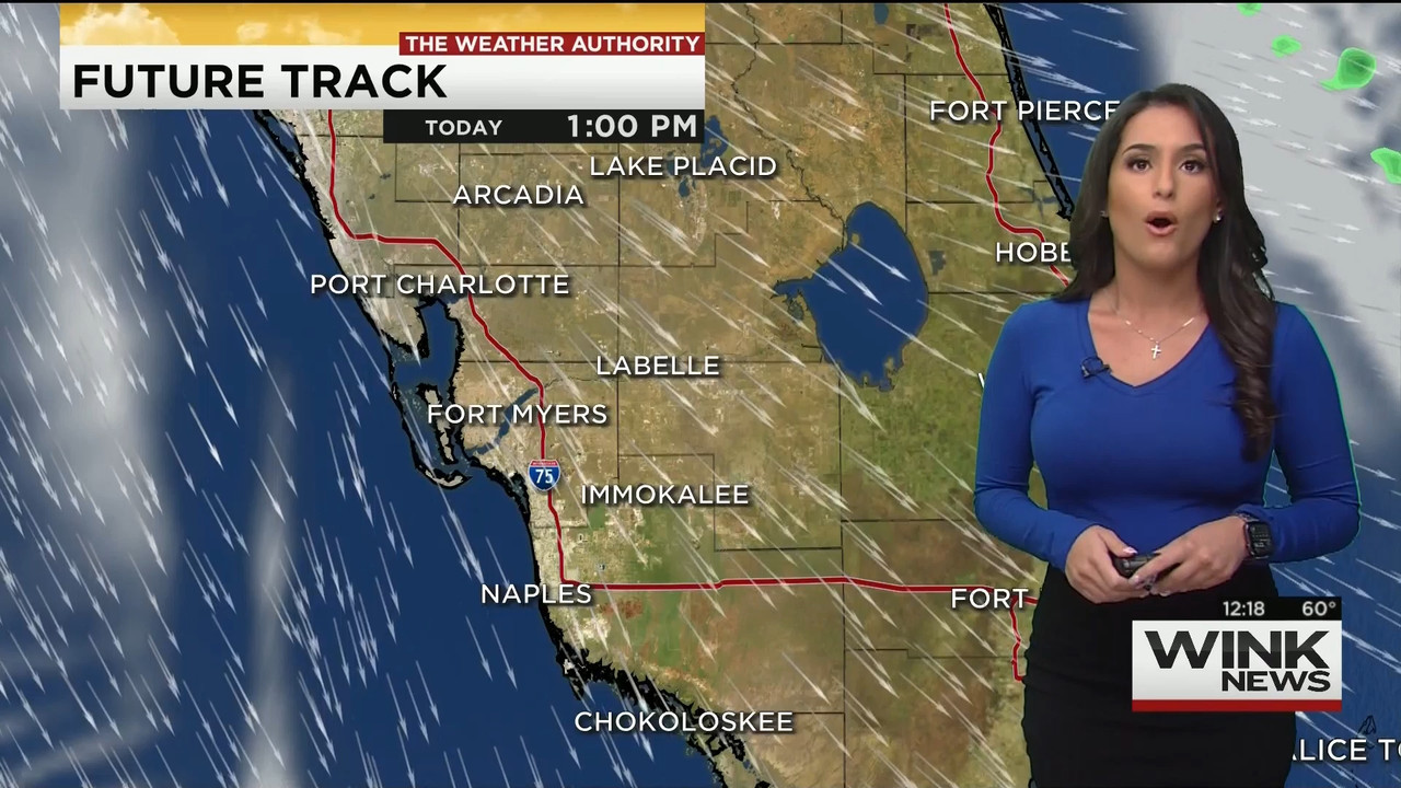 12.08 - 17.00.00 - WINK Noon News..ts_snapshot_22.15.048