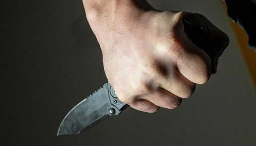 Vienas iš euroreicho eurokomisarų grasino Gruzijos premjerui