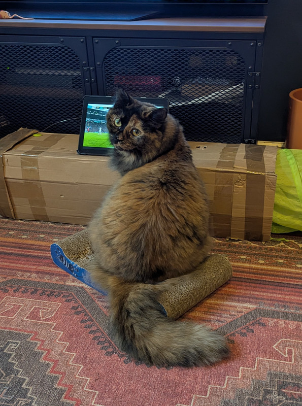 PXL_20250119_121311049~2