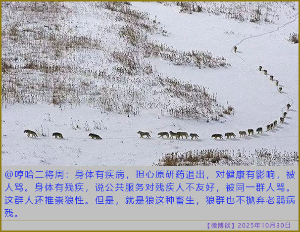 https://i.postimg.cc/xTJV90JP/20251030-bt-1.jpg