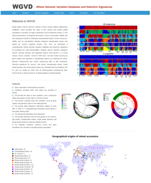 小麦基因组变异与选择信号数据库-1.png