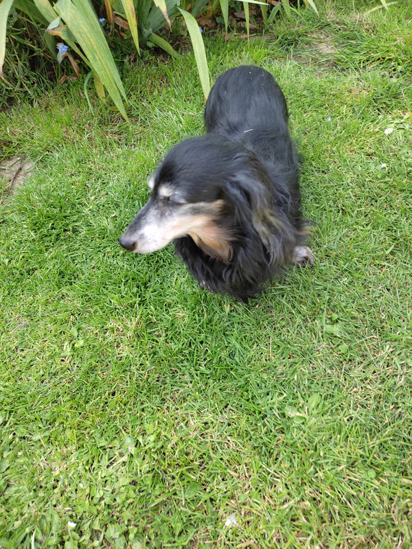 [Image: IMG-20230518-161201.jpg]