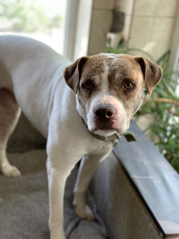 DFDDA75B-2791-4C57-906B-05A5ACF49E19