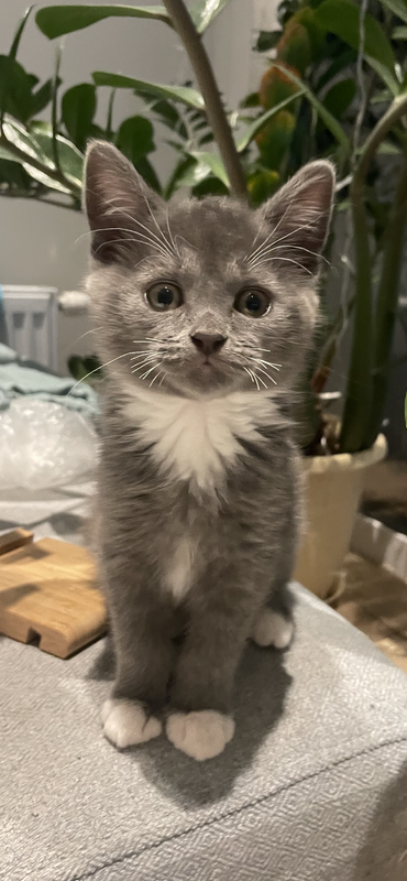 44E5D11C-B84F-4A3A-960F-50B01CD8B80B