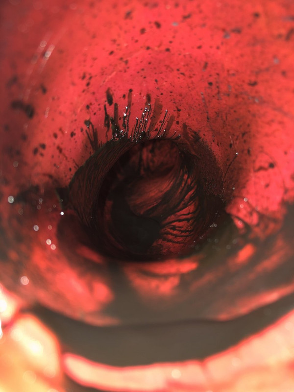 7BBBEE52-462F-473E-B3C4-B1F9D83FA8A6