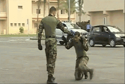 2.gif