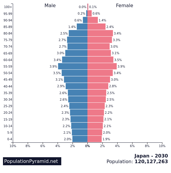 https://i.postimg.cc/xTLCJgLv/japan-population-pyramid-2030.png