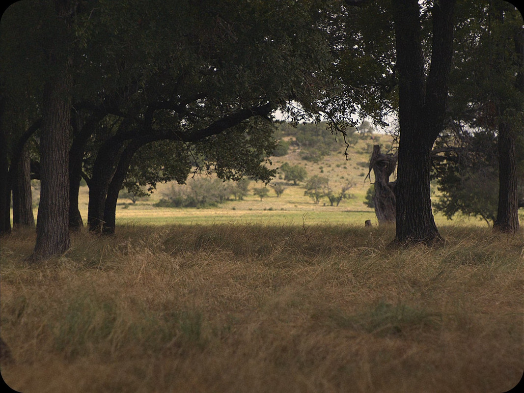 A Ghost Story 2017 (1080p x265 10bit Tigole).mkv