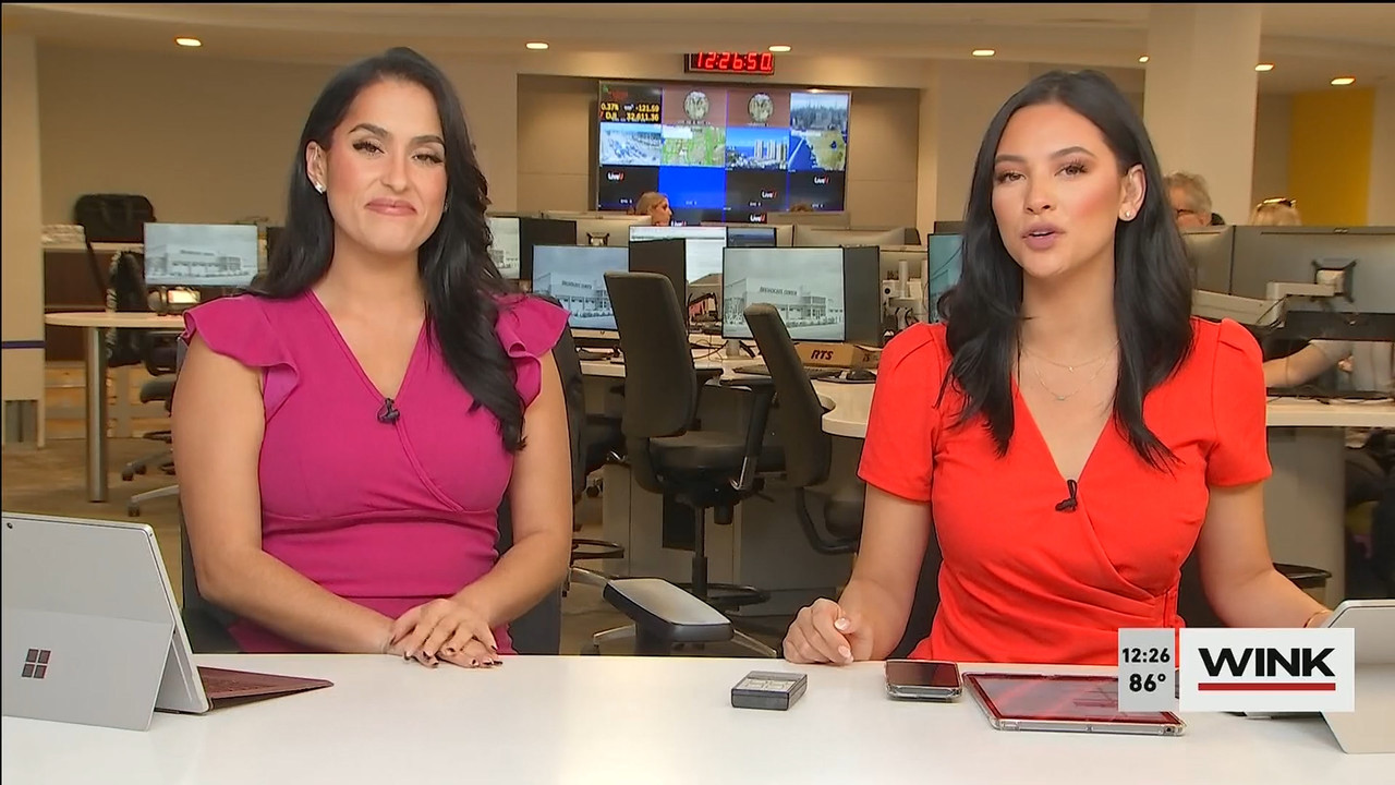 11.01 - 16.00.00 - The WINK Noon News  ᴺᵉʷ. Midday news update..ts_snapshot_32.57.382