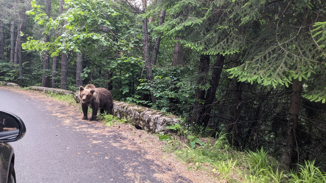 PXL_20230701_161806150