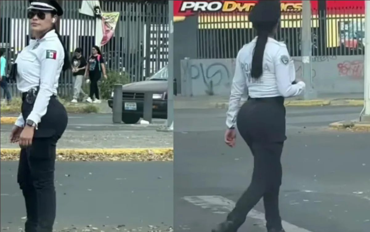 Policía de tránsito