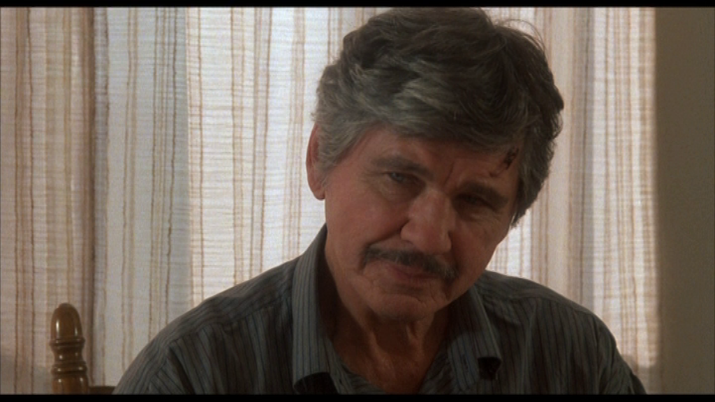 vlcsnap-2024-10-02-14h22m22s880