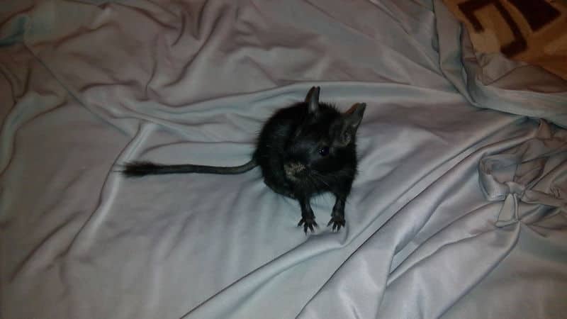 IMG_20161030_234105