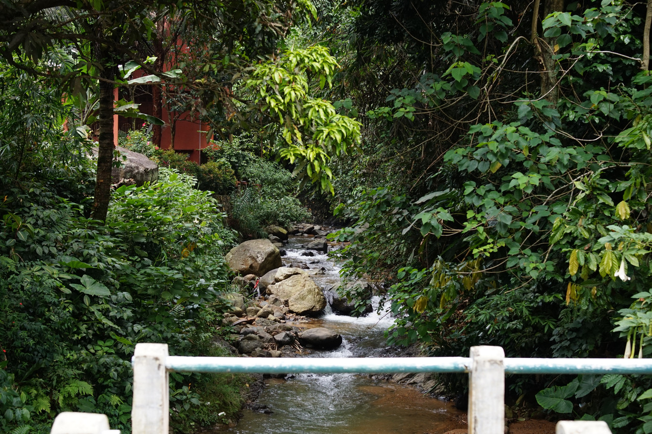 DSC01368