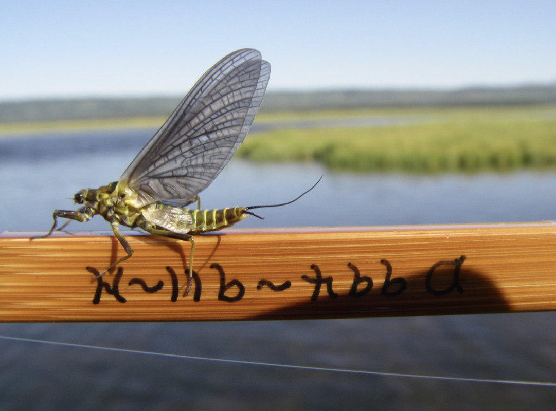 CEB657FB-45C4-4C55-A32C-9FF59AAC40A2