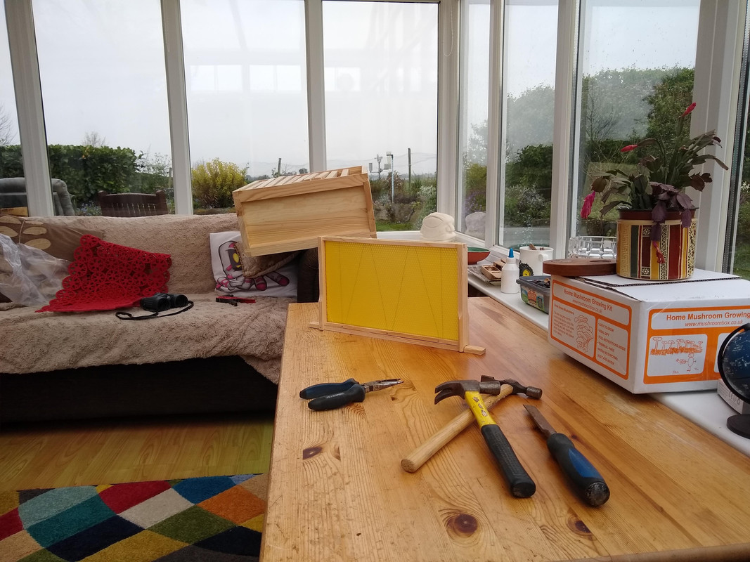 IMG_20200418_134056427