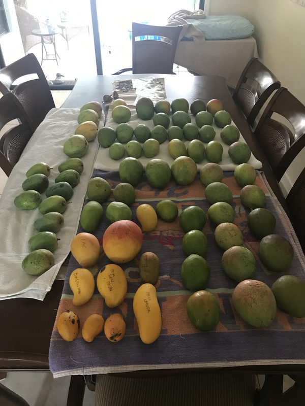 93EAEF83-657C-4D20-BB00-C4A513E9709F