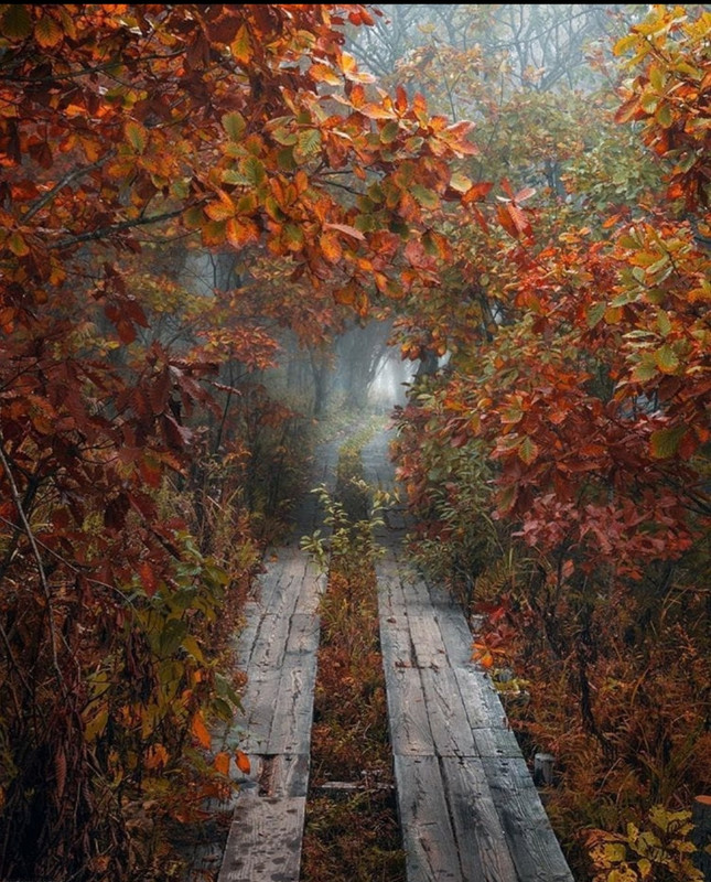 Screenshot_20231207_154543_Instagram