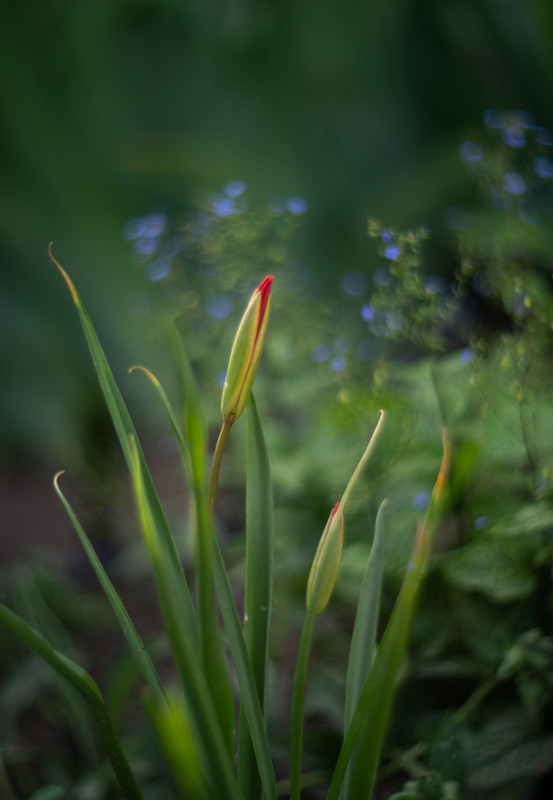 IMG-854a70b4d1559d0ca2698e42bae1e609-V
