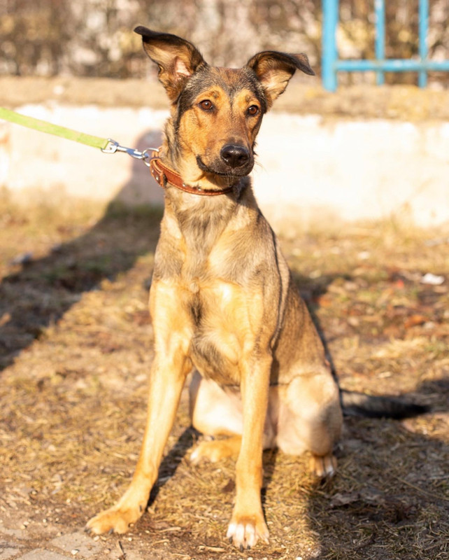 08B75FFB-4F06-471D-B6AB-406B05B34D17