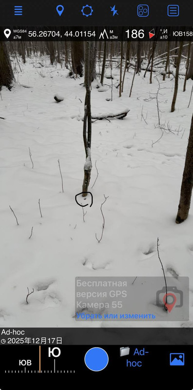 photo 1 2025 12 17 16 54 54