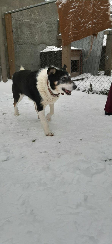 1EA45779-56A6-4C88-96A1-2CE45EFFCEC9