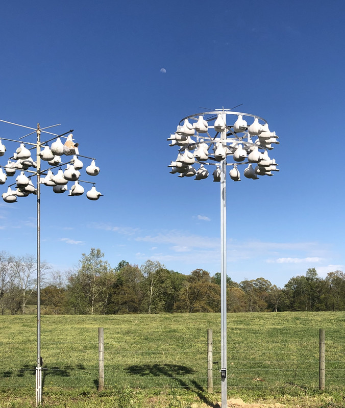 DD7EBD8B-865C-41CB-9FB9-46C4D33DFF73