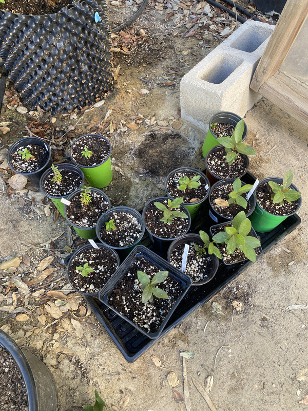 811046A6-B8CC-404F-8AC8-9064972412FB