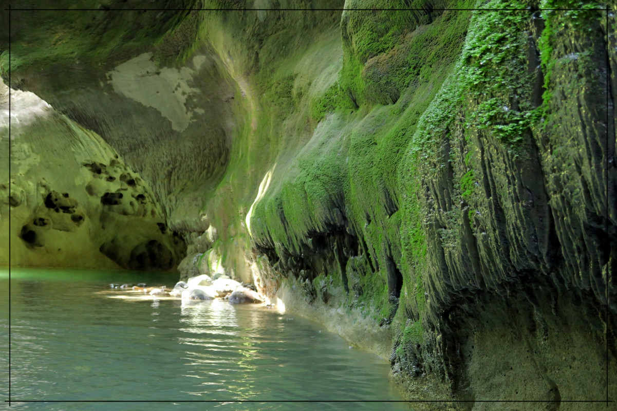Wairarapa, esa gran desconocida - Escapadas y rutas por la Nueva Zelanda menos conocida (30)