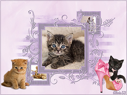 kittens-in-mdrieluiksmasker-3