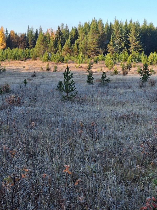 20241011-084058.jpg