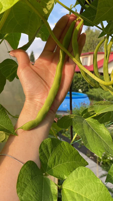 B4794D1B-FDD9-47B6-98AF-C52788059723