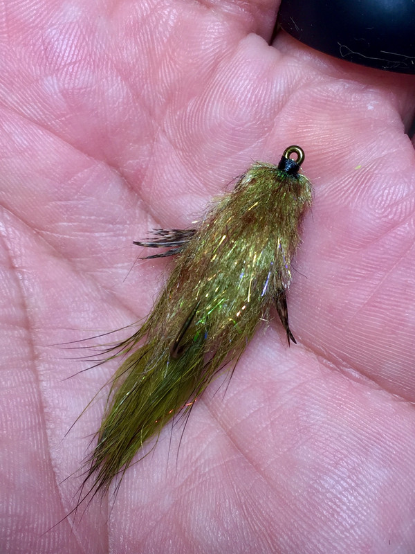 DA56AE47-4171-44C5-824F-55C9807755B3