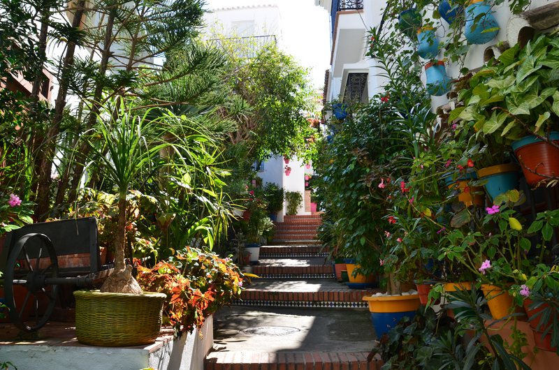 ESTEPONA-9-3-2017 - Málaga y sus pueblos-2009/2017 (86)