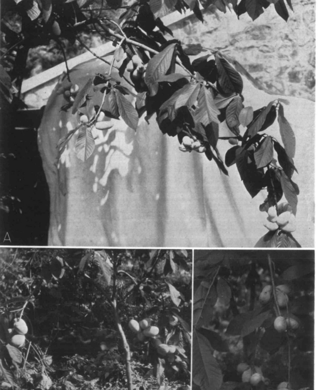 Screenshot 2026 01 28 174202