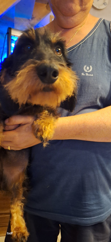 [Image: 20250812-175847.jpg]