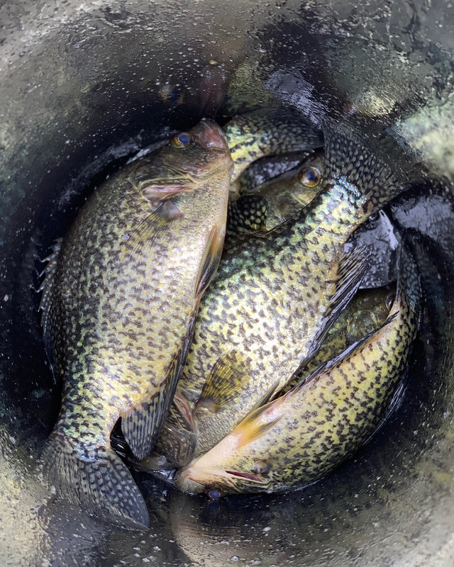 CA07733B-F2B9-4F21-8CFF-4B72EF026D66