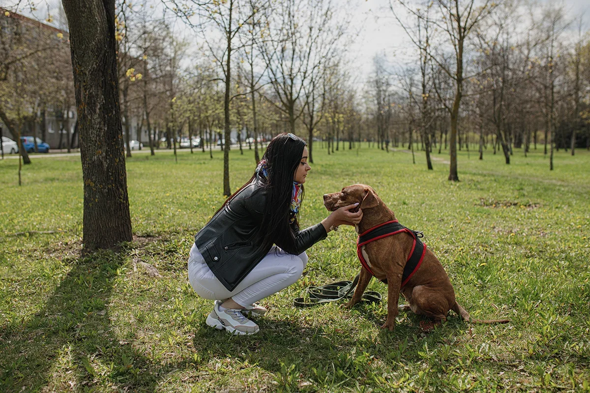 0905A63B-5C51-42BE-9740-C1266F53138C