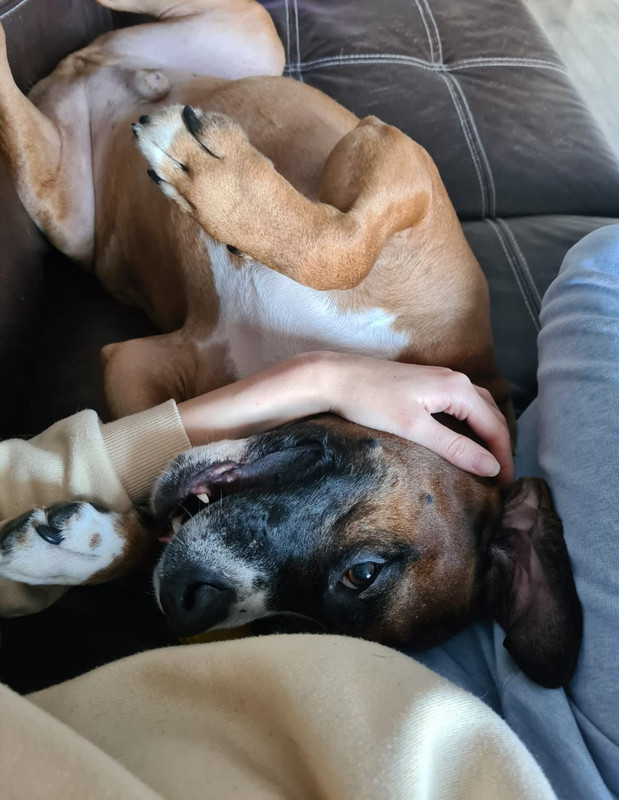 60F060AD-A4A6-47A6-986C-B2192755EF5B