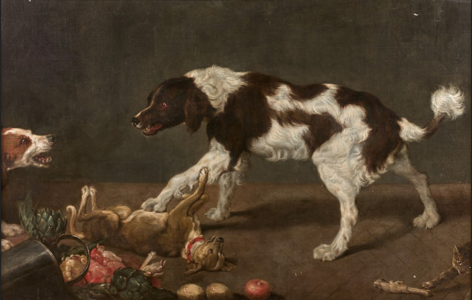 4-Paul-de-Vos-Dogs-and-cat-in-a-kitchen