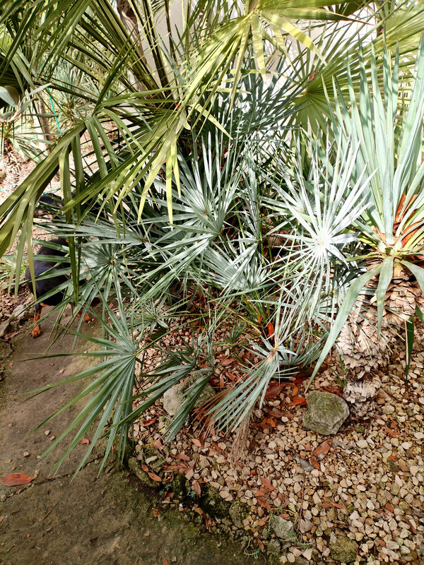 IMG 20260215 131310 edit 1049257061166614