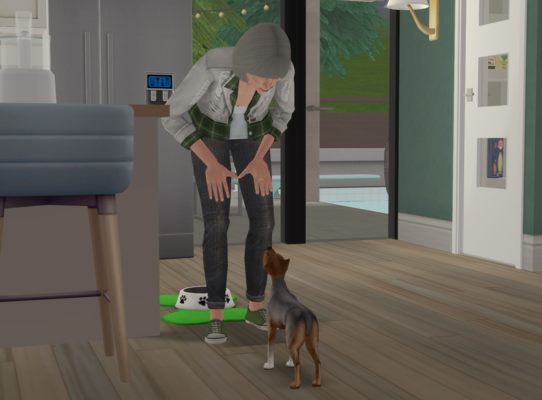 Sims2-EP9-RPC-2024-12-09-13-35-37-94