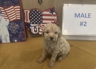 m m 2