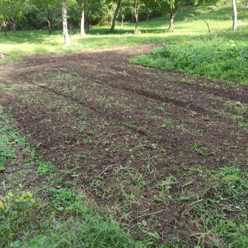 551667804_658860810204888_3739519375279803535_n