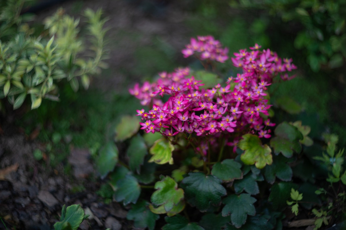 IMG-5f98db5dcf5840e0dbbe4fce1e24310b-V